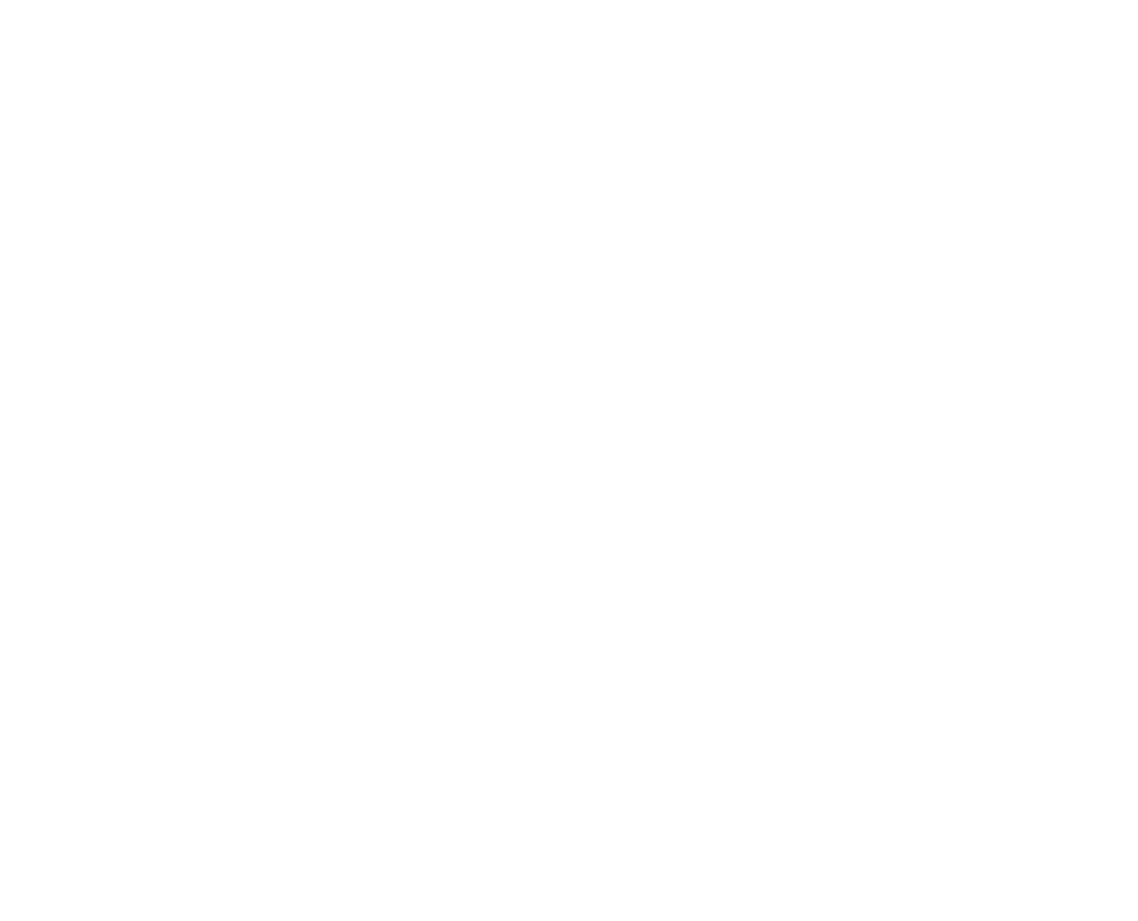 Brewdog logo in white.