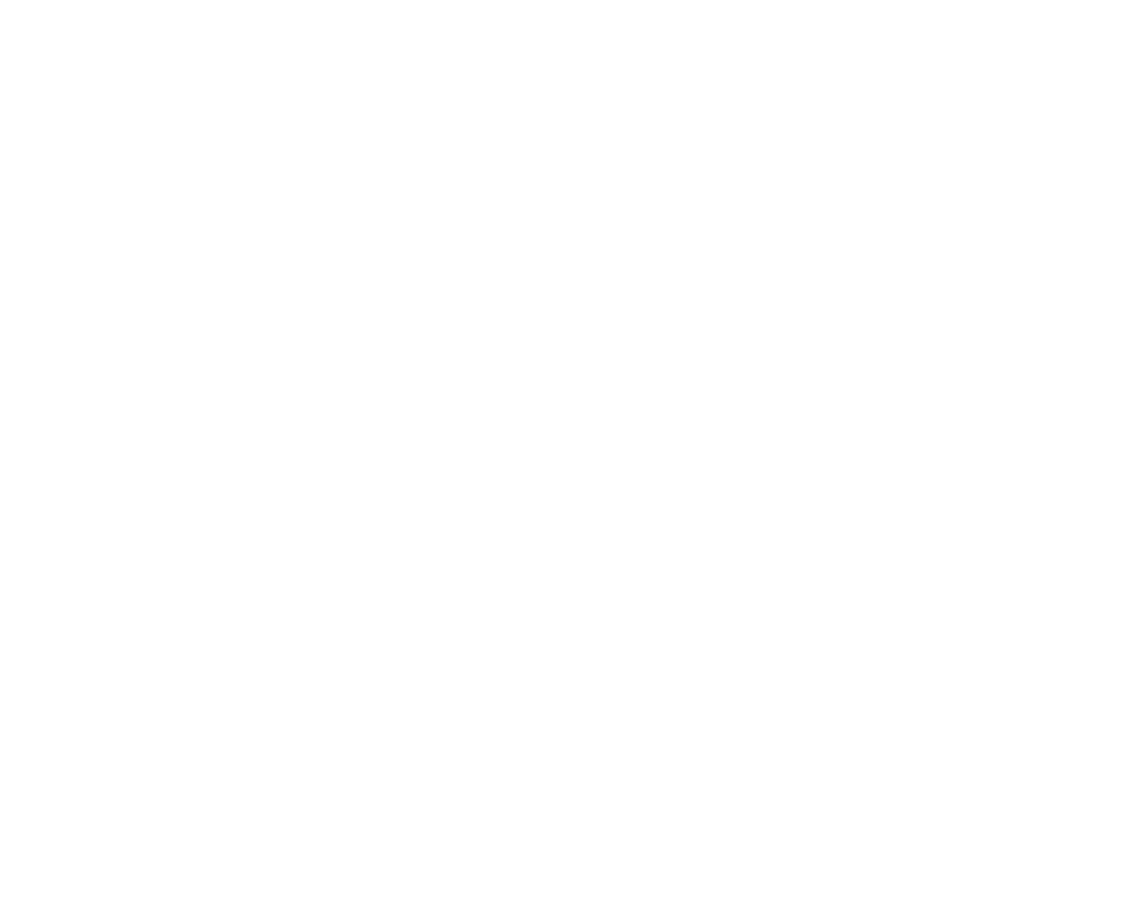 Frexienet Copestick logo in white.